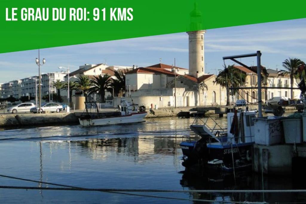 The Rooftop - Ac Clim - Wi-Fi - Parking Gratuit Dans La Rue Avignon Exterior foto
